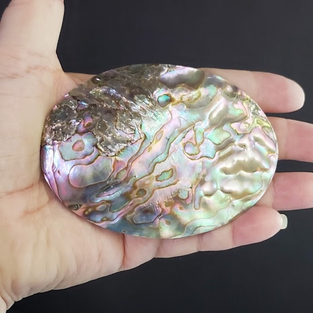 Large Oval Abalone Shell Belt Buckle Iridescent Mother of Pearl Western Boho